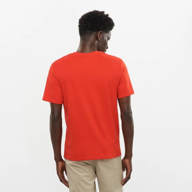 Orange Salomon Outlife Logo Short Sleeve Men's T-Shirts | IE CW3270